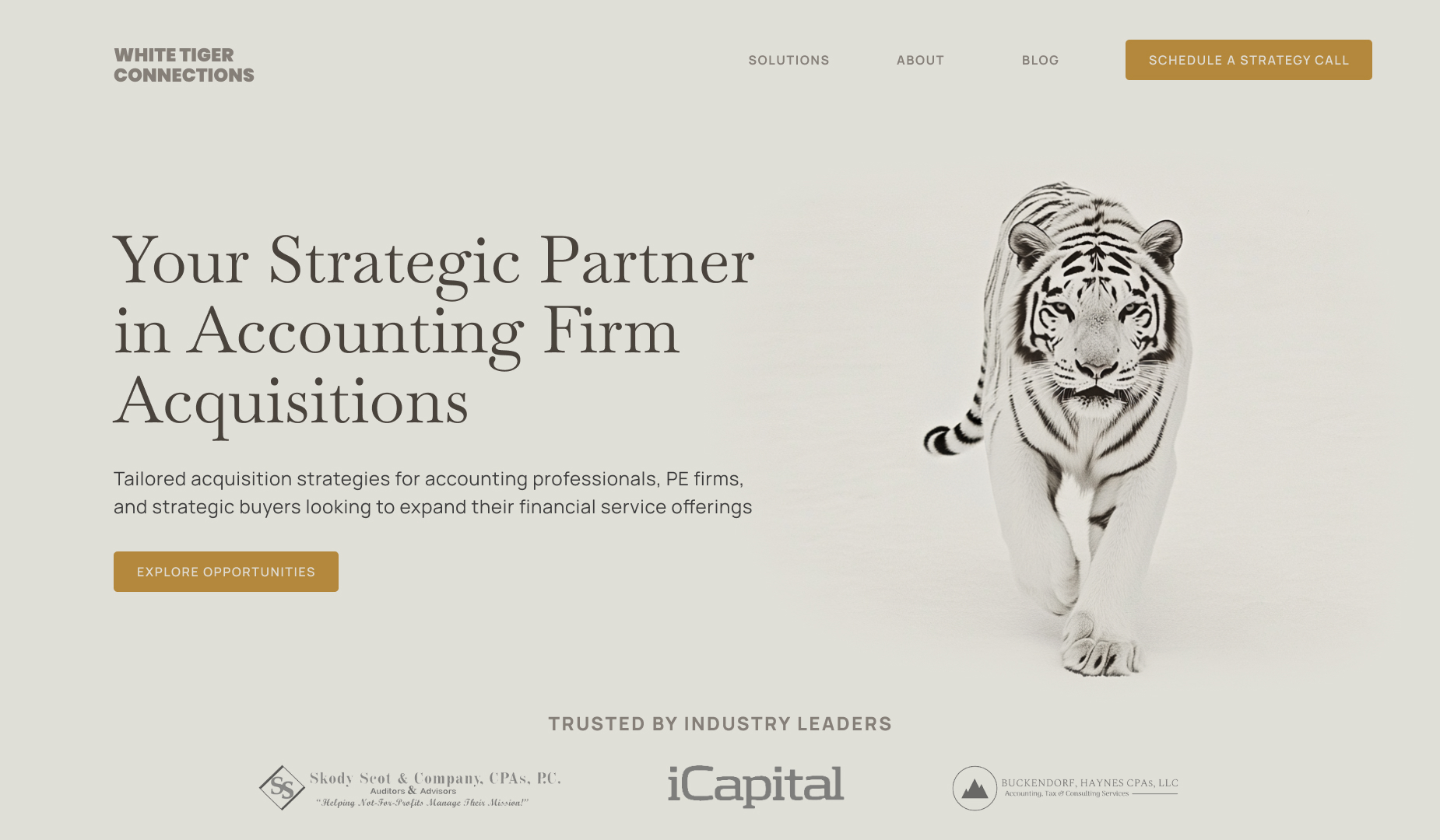 SaaS brand identity after redesign
