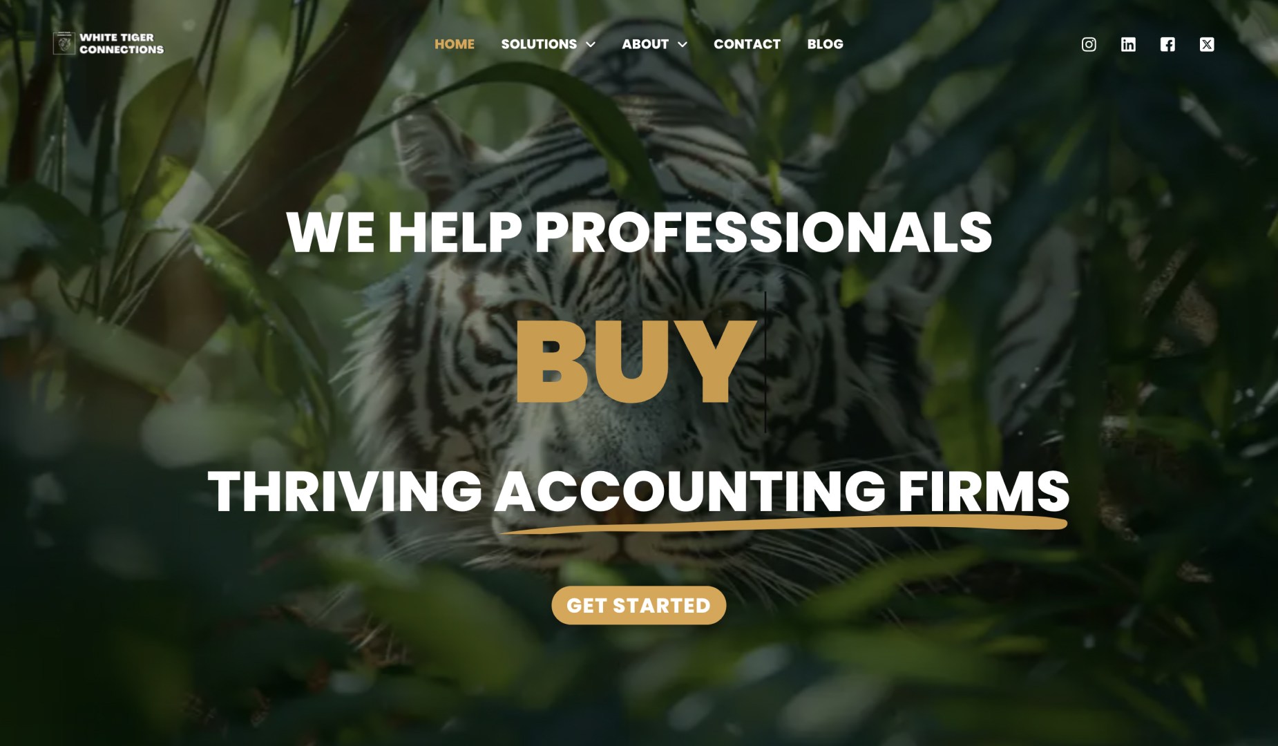 SaaS brand identity before redesign